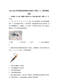 湖北省孝感市安陆市2024_2025学年八年级上册期末考试物理试卷[有解析]