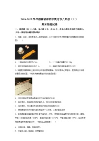 湖南省邵阳市武冈市2024_2025学年八年级上册期末考试物理试卷[有解析]