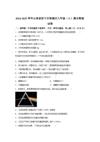 山东省济宁市邹城市2024_2025学年八年级上册期末物理试卷[有解析]