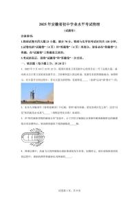 2025届安徽省中考物理试卷[附解析]