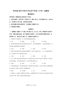2025届贵州省中考物理试卷[附解析]