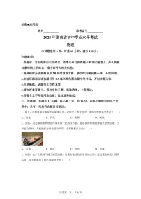 2025届湖南省中考物理真 题试卷[附解析]
