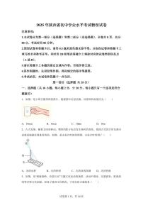 2025届陕西省中考物理试卷（B卷）[附解析]