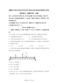 2025届四川省德阳市中考理综物理试卷[附解析]