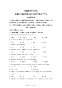 2025届新疆维吾尔自治区中考物理试卷[附解析]