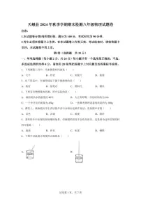 广西河池市天峨县2024~2025学年八年级上册期末检测物理试卷[附解析]