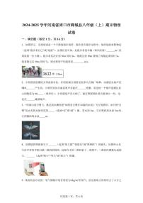 河南省周口市郸城县2024~2025学年八年级上册期末考试物理试卷[附解析]