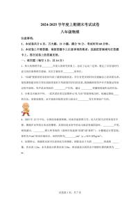 河南省周口市沈丘县2024~2025学年八年级上册期末物理试卷[附解析]