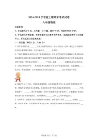 河南省周口市沈丘县2024~2025学年八年级上册期末物理试卷[附解析]