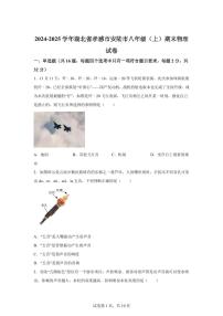 湖北省孝感市安陆市2024~2025学年八年级上册期末考试物理试卷[附解析]