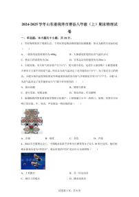 山东省菏泽市曹县2024~2025学年八年级上册期末物理试卷[附解析]
