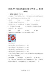 上海市青浦区东片联考2024~2025学年八年级上册期末考试物理试卷[附解析]