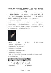 山东省滨州市邹平市2024~2025学年八年级上册期末考试物理试卷[附解析]