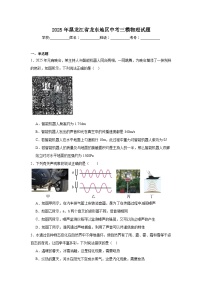 2025年黑龙江省龙东地区中考三模物理试题（无答案）