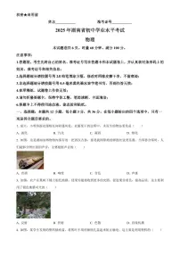 2025年湖南省初中学业水平考试中考物理真题试卷(中考真题+答案)