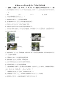 2025年甘肃省武威市、嘉峪关市、临夏州初中学业水平考试中考物理真题试卷(中考真题+答案)