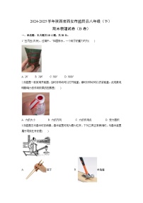 陕西省西安市蓝田县2024-2025学年八年级下学期期末 （B卷）物理试卷（解析版）