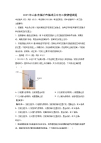 2025年山东省临沂市临沭县中考二模[中考模拟]物理试卷（解析版）