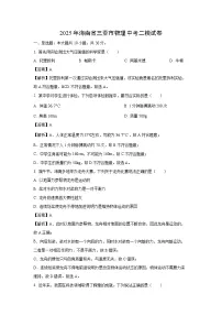 2025年海南省三亚市中考二模[中考模拟]物理试卷（解析版）