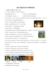 2025年黑龙江省中考物理试卷（含解析）