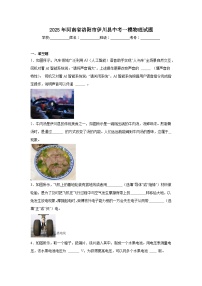 2025年河南省洛阳市伊川县中考一模物理试题（附答案解析）