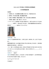 河南省洛阳市宜阳县2024-2025学年八年级下学期期末考试物理试卷（解析版）