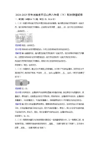 河南省平顶山市2024-2025学年八年级下学期期末物理试卷（解析版）