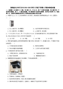 湖南省长沙市宁乡市2024-2025学年八年级下学期6月期末物理试题