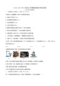 2024-2025年八年级上学期物理期末考试试卷