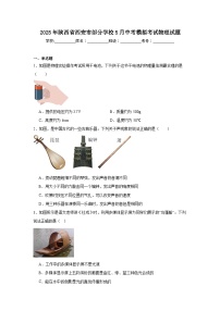 2025年陕西省西安市部分学校5月中考模拟考试物理试题（无答案）