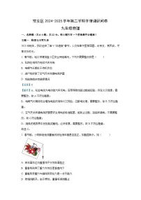 2025年广东省深圳市宝安区中考二模物理试卷（解析版）