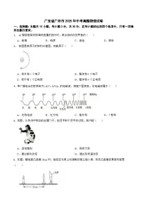 广东省广州市2025年中考真题物理试卷及答案