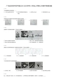 广东省东莞市常平镇2024-2025学年八年级上学期11月期中物理试题（有答案解析）
