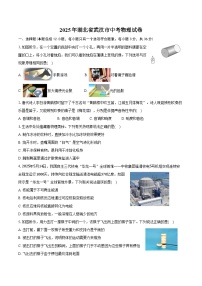 2025年湖北省武汉市中考物理试卷（含解析）