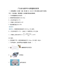 【物理】2024年广东省河源市中考模拟试题（解析版）