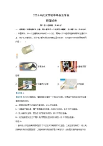 【物理】2025年湖北省武汉市中考模拟试题（解析版）