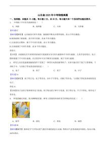 山东省2025年中考物理真题及同步解析