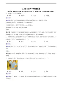 山东省2025年中考物理真题及同步解析