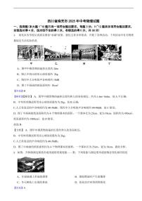 四川省南充市2025年中考物理试题及同步解析
