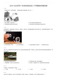 2024~2025学年广东深圳宝安区初二下学期期末物理试卷（有答案解析）