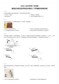 2024~2025学年广东深圳福田区深圳实验学校初中部初二下学期期末物理试卷（有答案解析）