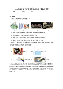 2025年湖北省武汉市四区联考中考三模物理试题（附答案解析）