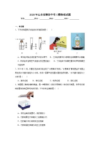 2025年山东省潍坊中考三模物理试题（附答案解析）