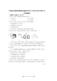 2024～2025学年广东省佛山市南海区桂城街道灯湖初级中学九年级上10月月考物理试卷