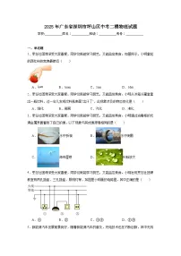 2025年广东省深圳市坪山区中考二模物理试题（附答案解析）