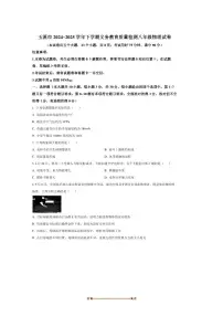 2024～2025学年云南省玉溪市八年级下期末物理试卷(含答案)