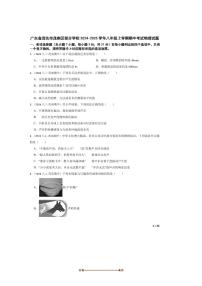 2024～2025学年广东省茂名市茂南区学校八年级上期中物理试卷