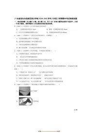 2024～2025学年广东省茂名市茂南区学校八年级上期中物理试卷