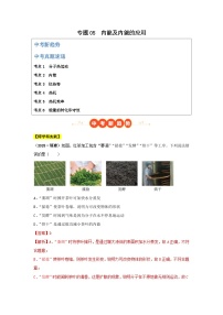 2025年中考物理真题分类汇编：专题05  内能及内能的应用（全国通用）（第01期）（解析版）