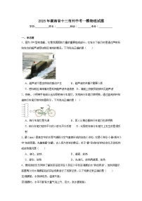 2025年湖南省十三市州中考一模物理试题（附答案解析）